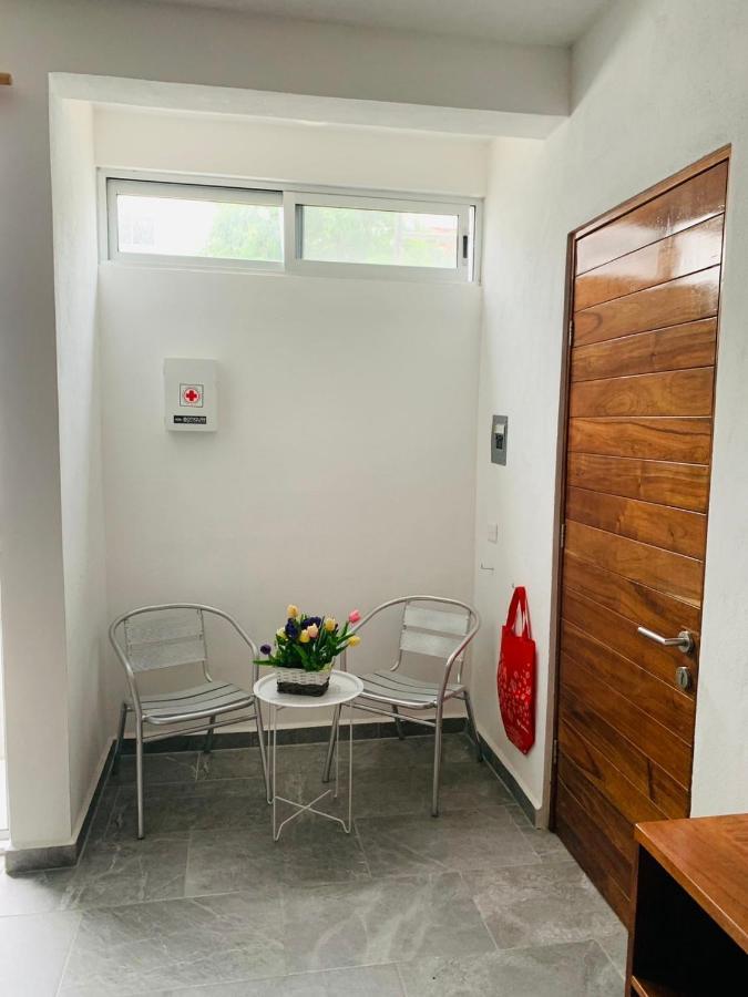 דירות קנקון Centrico Departamento 401 מראה חיצוני תמונה